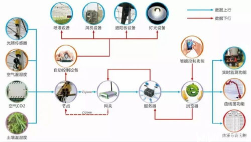 農業(yè)物聯(lián)網是什么 有哪些用于農業(yè)生產的